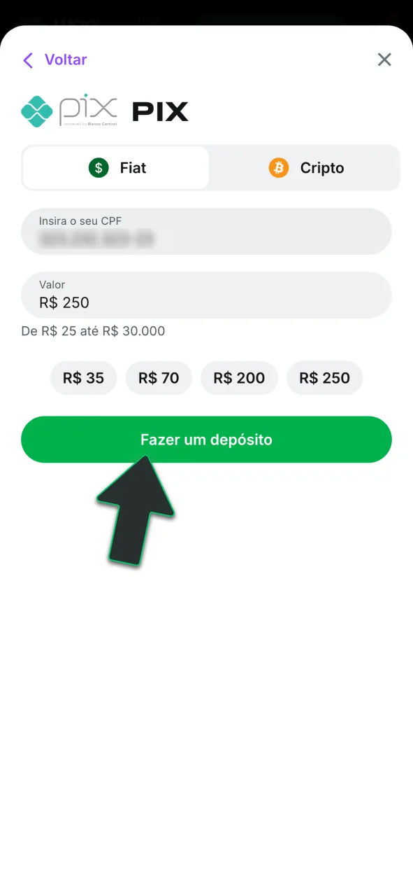 Confirme o pagamento da sua recarga no cassino Lucky Star, aguarde o saldo instantâneo e fature alto.
